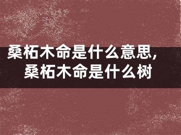 桑松土命是什么意思